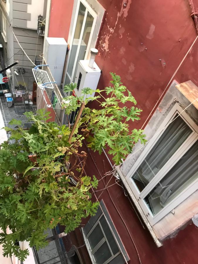 Cisterna'S House Otel Napoli Dış mekan fotoğraf